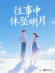 往事中休坠明月