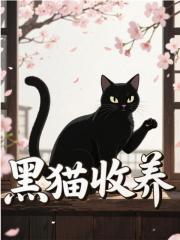 黑猫收养