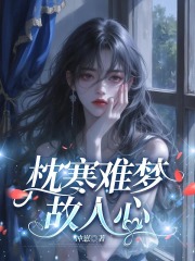 枕寒难梦故人心