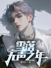 雪落无声之年