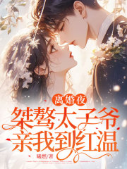 离婚夜，桀骜太子爷亲我到红温