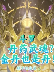 斗罗:丹药武魂?金丹也是丹!