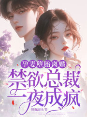 孕妻堕胎离婚，禁欲总裁一夜成疯！