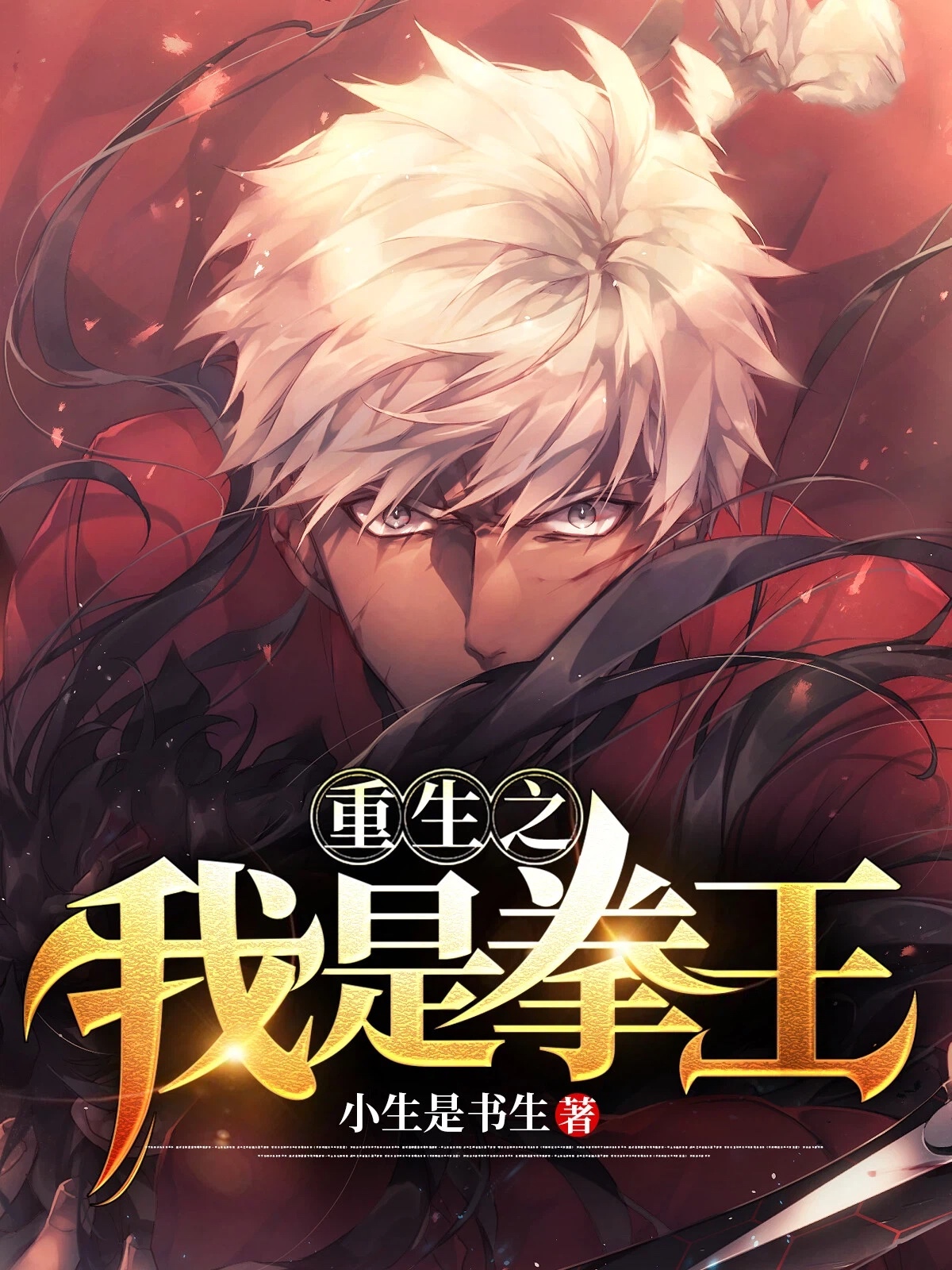 重生之我是拳王