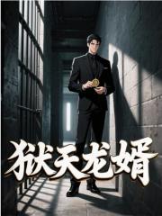 狱天龙婿