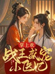 掌上欢:战王盛宠小医妃