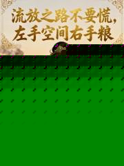 流放之路不要慌,左手空间右手粮