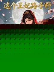 这个王妃路子野