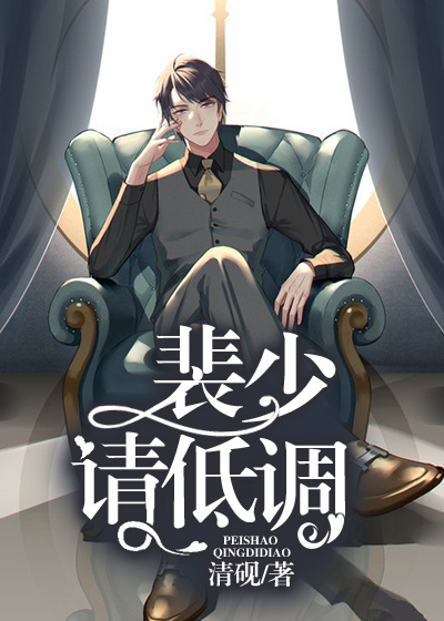 长官先生，请低调