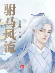 驸马风流