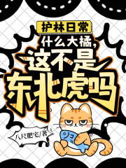护林日常，什么大橘，这不是东北虎吗