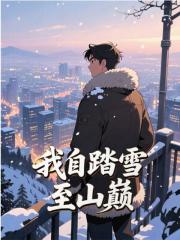 我自踏雪至山巅