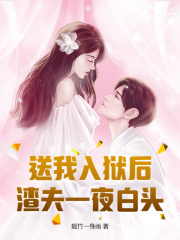 送我入狱后，渣夫一夜白头