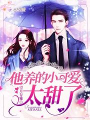 沈大佬的婚后甜宠