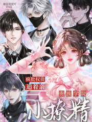 贵族学院小撩精，疯批权贵追着亲