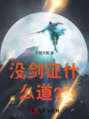 没剑证什么道？