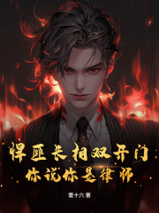 悍匪长相双开门，你说你是律师？