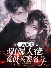一夜沦陷,阴湿大佬竟低头要名分