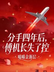 分手四年后,傅机长失了控