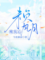未负风月唯负心