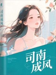 司南成风