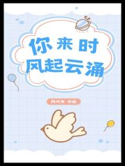 你来时风起云涌