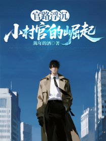 官路浮沉:小村官的崛起