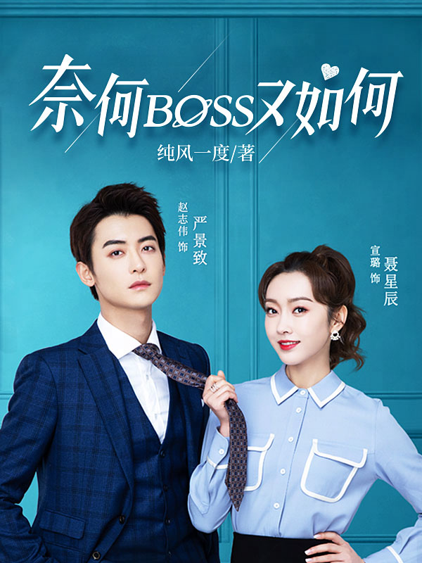奈何BOSS又如何