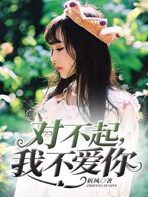 对不起，我不爱你