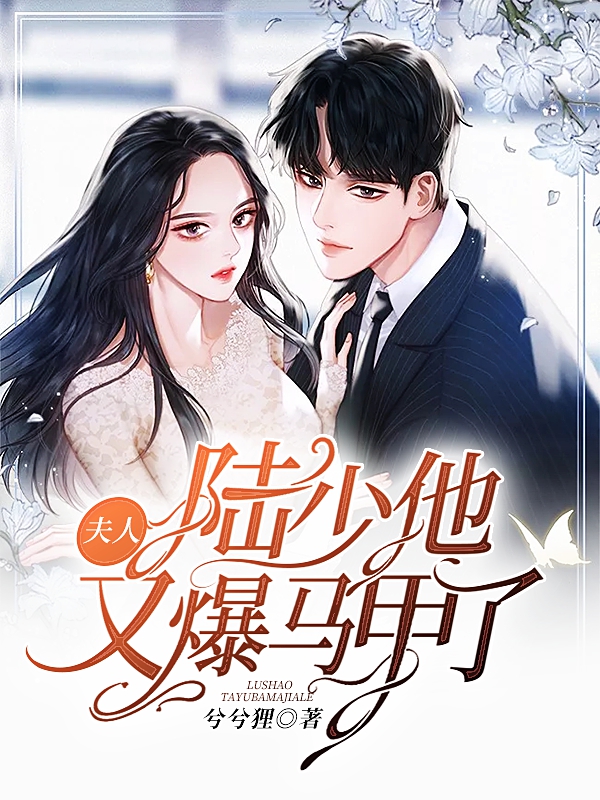 夫人，陆少他又爆马甲了